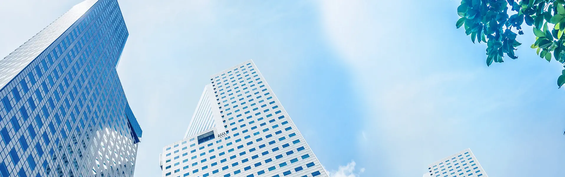 banner ข้อมูลบริษัท LDC Dental